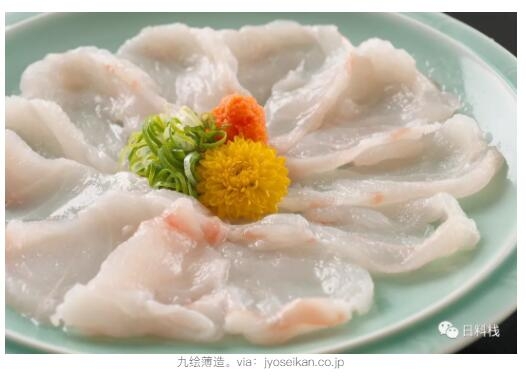 文萊九繪 | 比起東星斑和老鼠斑，日本人更在意的石斑魚是丑丑的它！